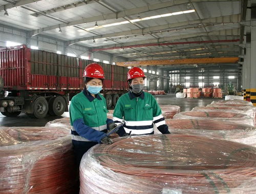 陜西優質產品揚帆出海，開拓國際市場新篇章