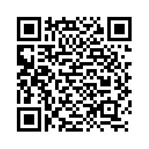 2023年陜西貨物貿(mào)易進(jìn)出口總值達(dá)4042.06億元 逆勢增長背后的韌性探析